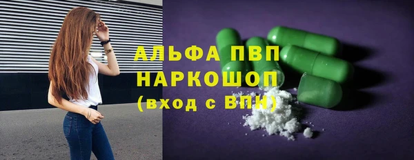 гашик Арсеньев