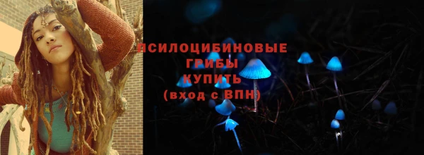 гашик Арсеньев