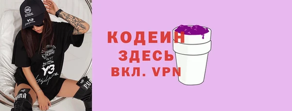 гашик Арсеньев