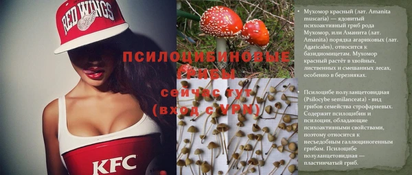 прущие грибы Алексеевка